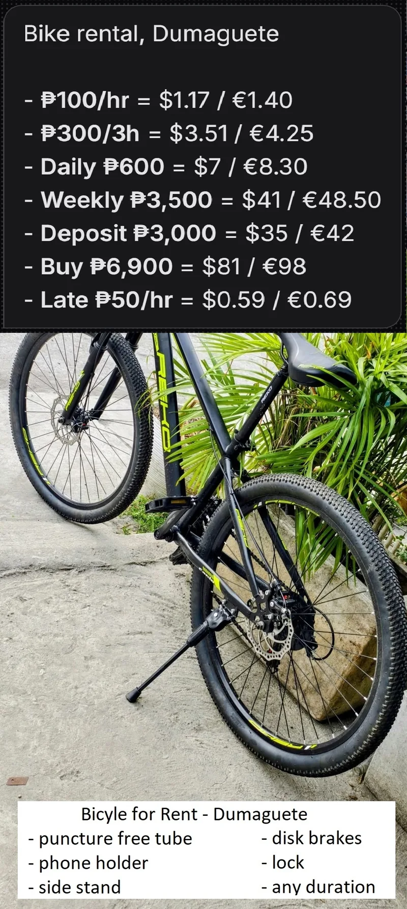 The bike, side view, with side stand down