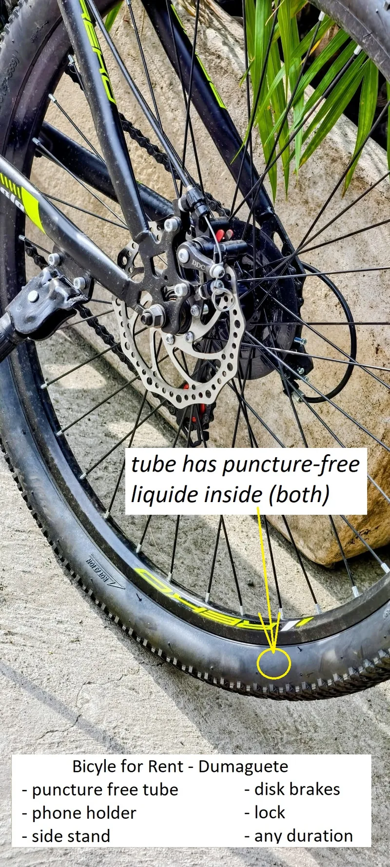 Rear wheel, disc brake and puncture-proof tube
