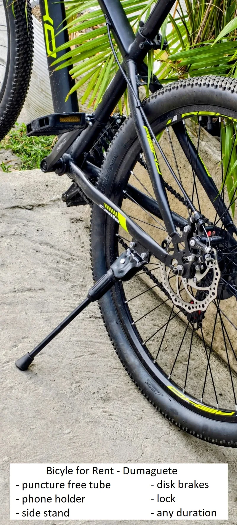 Phone holder close-up showing the rubber grips